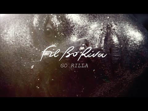 FIL BO RIVA - Go Rilla (Official Video)