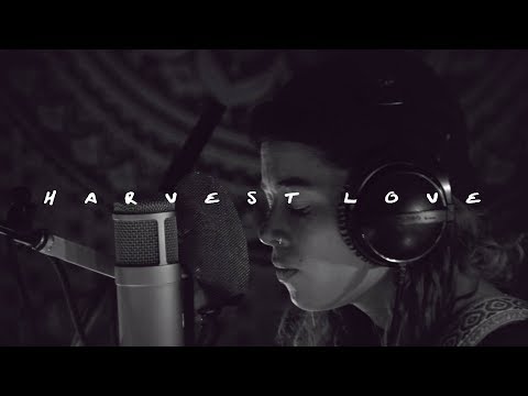 Tash Sultana - Harvest Love (Live Lounge Recording)