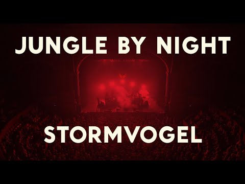 Jungle by Night - Stormvogel